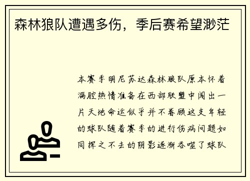 森林狼队遭遇多伤，季后赛希望渺茫